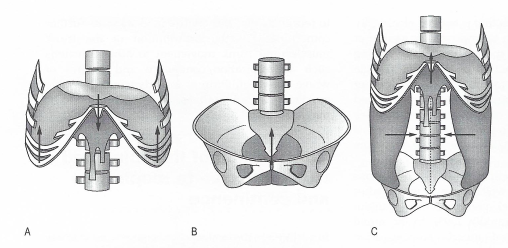 Pelvic Stability Dysfunction